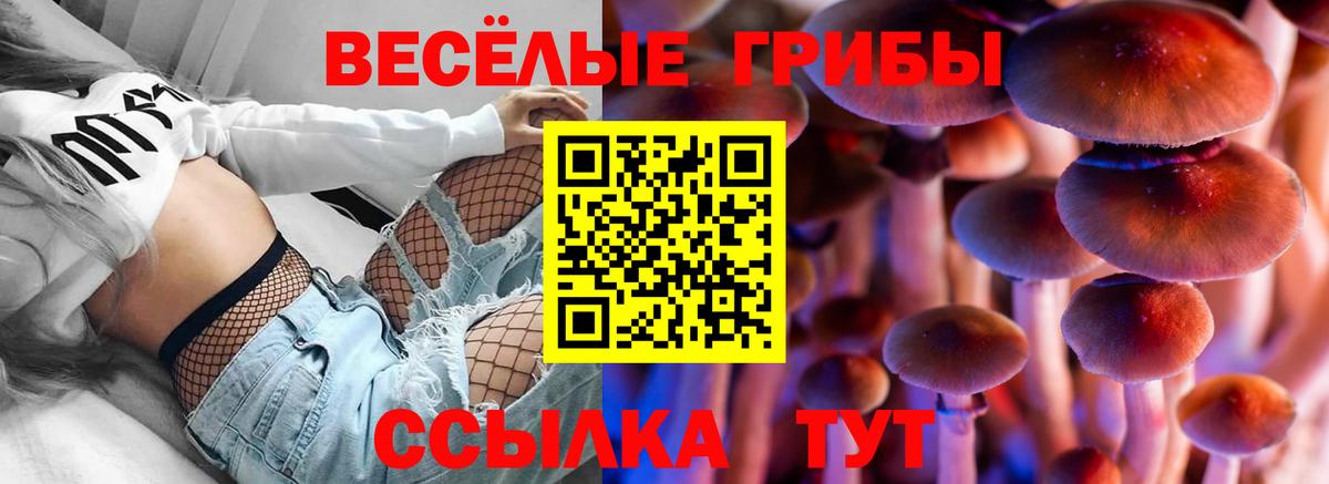 Галлюциногенные грибы Psilocybe Орёл